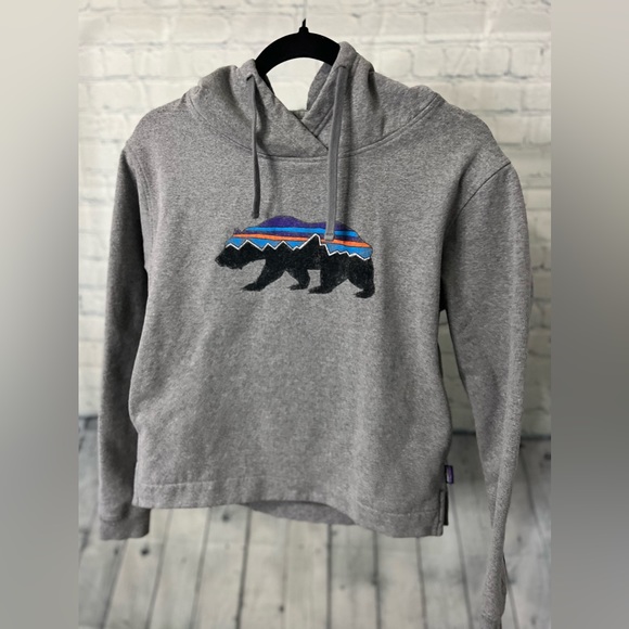 Patagonia Tops - Patagonia Roy Bear Uprisal Hoodie | Sz XS